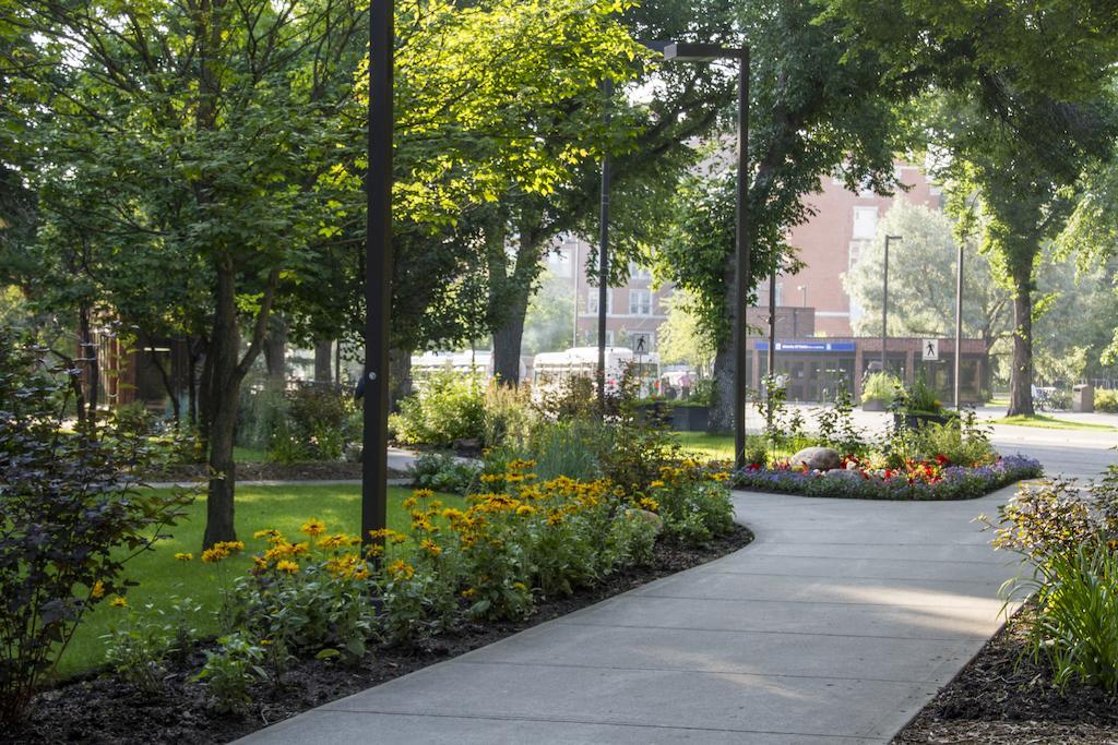 University Of Alberta - Hotel エドモントン エクステリア 写真